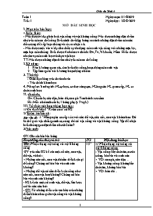 Giáo án Sinh học Lớp 6 - Chương trình cả năm - Năm học 2019-2020