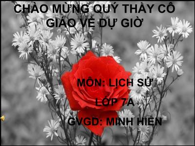 Bài giảng Lịch sử Lớp 7 - Tiết 22: Nước Đại Việt ở thế kỉ XIII - Minh Hiếu