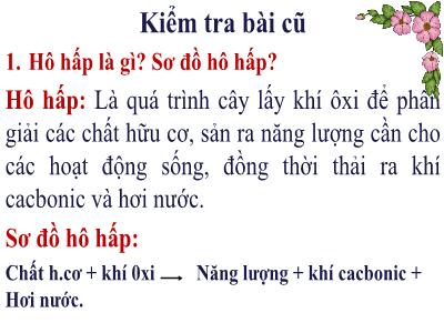 Bài giảng môn Sinh học 6 - Bài 24: Phần lớn nước vào cây đi đâu