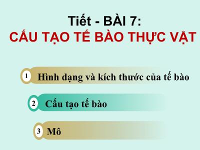 Bài giảng môn Sinh học 6 - Bài 7: Cấu tạo tế bào thực vật