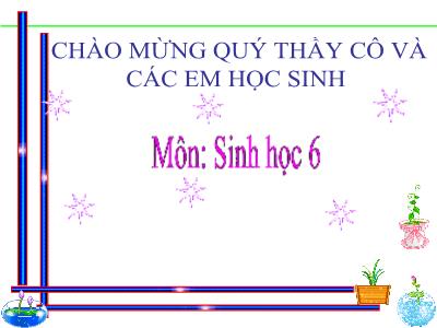 Bài giảng môn Sinh học Khối 6 - Bài 9: Các loại rễ, các miền của rễ