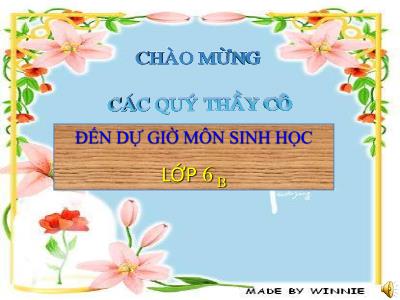 Bài giảng môn Sinh học Lớp 6 - Bài 14: Thân dài ra do đâu?