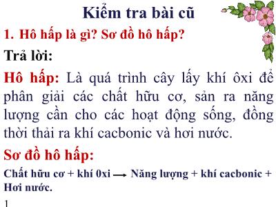 Bài giảng môn Sinh học Lớp 6 - Bài 24: Phần lớn nước vào cây đi đâu ?