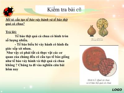 Bài giảng Sinh học 6 - Bài 7: Cấu tạo tế bào thực vật