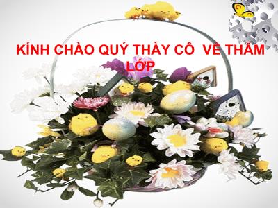 Bài giảng Sinh học Khối 6 - Bài 9: Các loại rễ, các miền của rễ