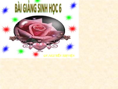 Bài giảng Sinh học Lớp 6 - Bài 15+16: Cấu tạo trong của thân non - Thân to ra do đâu? - Nguyễn Thị Vẹn