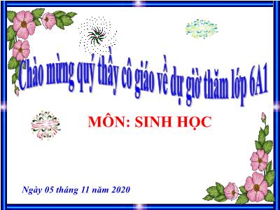 Bài giảng Sinh học Lớp 6 - Bài 19: Đặc điểm bên ngoài của lá - Năm học 2020-2021