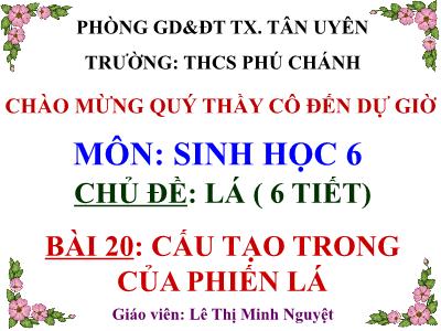 Bài giảng Sinh học Lớp 6 - Bài 20: Cấu tạo trong của phiến lá - Lê Thị Minh Nguyệt