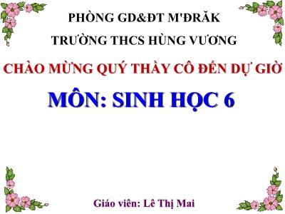 Bài giảng Sinh học Lớp 6 - Bài 21: Quang hợp (Tiết 3) - Lê Thị Mai