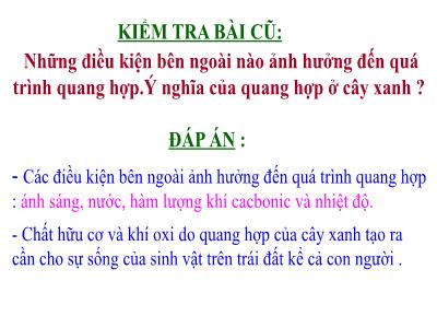 Bài giảng Sinh học Lớp 6 - Bài 23: Cây có hô hấp không? (Bản đẹp)