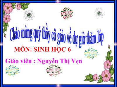 Bài giảng Sinh học Lớp 6 - Bài 24: Phần lớn nước vào cây đi đâu ? - Nguyễn Thị Vẹn