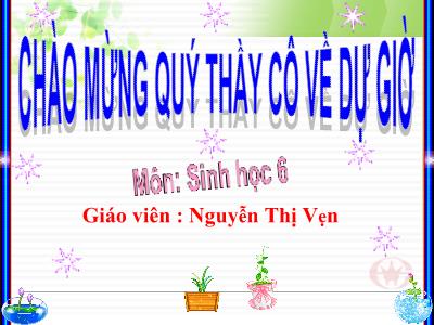 Bài giảng Sinh học Lớp 6 - Bài 25: Thực hành Biến dạng của lá - Nguyễn Thị Vẹn
