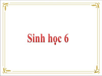 Bài giảng Sinh học Lớp 6 - Bài 3: Đặc điểm chung của thực vật