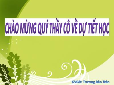 Bài giảng Sinh học Lớp 6 - Bài 7: Cấu tạo tế bào thực vật - Trương Bảo Trân