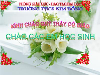 Bài giảng Sinh học Lớp 6 - Bài 8: Sự lớn lên và phân chia của tế bào - Trường THCS Kim Đồng