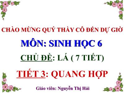 Bài giảng Sinh học Lớp 6 - Chủ đề: Lá - Tiết 3: Quang hợp - Nguyễn Thị Hải