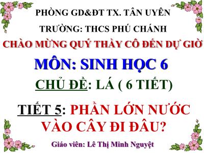 Bài giảng Sinh học Lớp 6 - Chủ đề: Lá - Tiết 5: Phần lớn nước vào cây đi đâu? - Lê Thị Minh Nguyệt