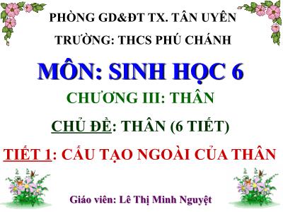 Bài giảng Sinh học Lớp 6 - Chủ đề: Thân - Tiết 1: Cấu tạo ngoài của thân - Lê Thị Minh Nguyệt