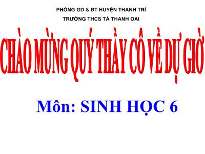 Bài giảng Sinh học Lớp 6 - Tiết 12: Thực hành Quan sát biến dạng của rễ - Trường THCS Tả Thanh Oai