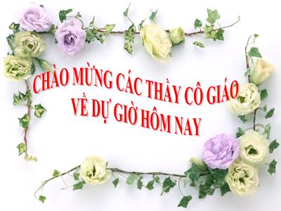 Bài giảng Sinh học Lớp 6 - Tiết 17: Chủ đề Thân