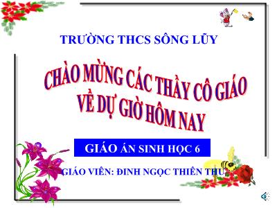 Bài giảng Sinh học Lớp 6 - Tiết 19 đến 26: Chủ đề Lá (Tiếp theo) - Đinh Ngọc Thiên Thu