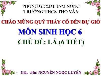 Bài giảng Sinh học Lớp 6 - Tiết 22-27: Chủ đề Lá - Nguyễn Ngọc Luyến