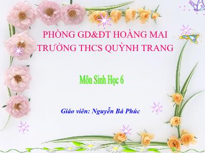 Bài giảng Sinh học Lớp 6 - Tiết 22: Đặc điểm bên ngoài của lá - Nguyễn Bá Phúc