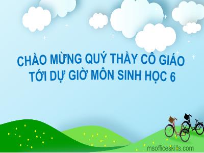 Bài giảng Sinh học Lớp 6 - Tiết 26: Phần lớn nước vào cây đi đâu?