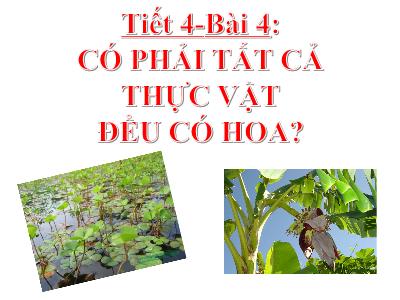 Bài giảng Sinh học Lớp 6 - Tiết 4: Có phải tất cả thực vật đều có hoa?