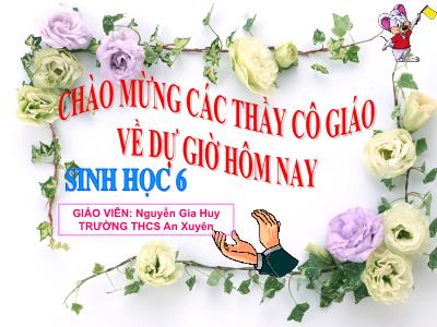 Bài giảng Sinh học Lớp 6 - Tiết 46: Tổng kết về cây có hoa (Tiếp theo) - Nguyễn Gia Huy