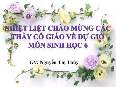 Bài giảng Sinh học Lớp 6 - Tiết 48: Rêu (Cây rêu) - Nguyễn Thị Thúy