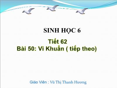 Bài giảng Sinh học Lớp 6 - Tiết 62: Vi Khuẩn (Tiếp theo) - Vũ Thị Thanh Hương