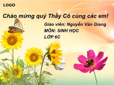 Bài giảng Sinh học Lớp 6 - Tiết 7: Cấu tạo tế bào thực vật