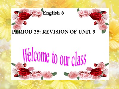 Bài giảng Tiếng Anh Lớp 6 - Period 25: Revision of Unit 3
