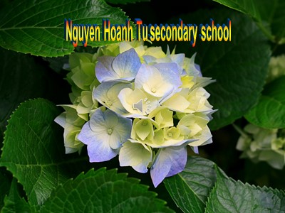 Bài giảng Tiếng Anh Lớp 6 - Unit 10 - Lesson 6: Skill 2 - Trường THCS Nguyễn Hoành Tứ