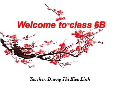 Bài giảng Tiếng Anh Lớp 6 - Unit 6: Our Tet holiday - Lesson 1: Getting started – Happy New Year - Dương Thị Kiều Linh