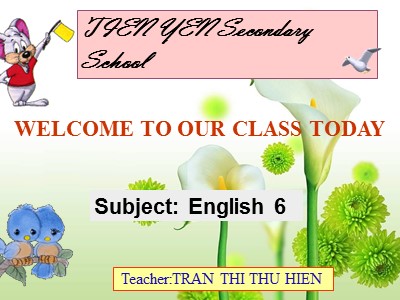 Bài giảng Tiếng Anh Lớp 6 - Unit 7: Television - Lesson 2: A closer look 1 - Trần Thị Thu Hiền