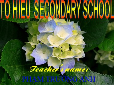 Bài giảng Tiếng Anh Lớp 6 - Unit 8: Sports and games - Lesson 4: Communication - Phạm Trường Anh