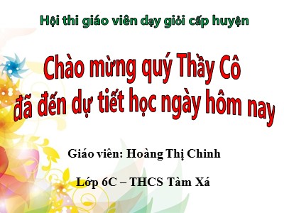 Bài giảng môn Hình học Lớp 6 - Tiết 16: Nửa mặt phẳng - Hoàng Thị Chinh