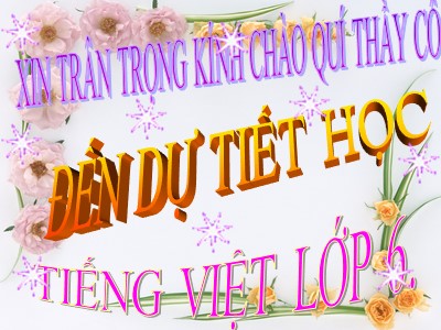 Bài giảng môn Ngữ văn Lớp 6 - Bài 13: Chỉ từ