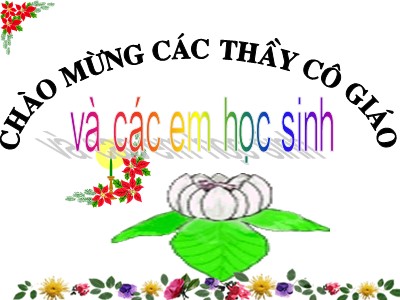 Bài giảng môn Ngữ văn Lớp 6 - Tiết 44: Cụm danh từ