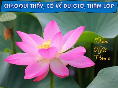 Bài giảng môn Ngữ văn Lớp 6 - Tiết 61: Cụm động từ