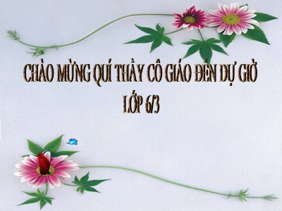 Bài giảng môn Ngữ văn Lớp 6 - Tiết 65: Văn bản Thầy thuốc giỏi cốt nhất ở tấm lòng (Nam Ông Mộng Lục)