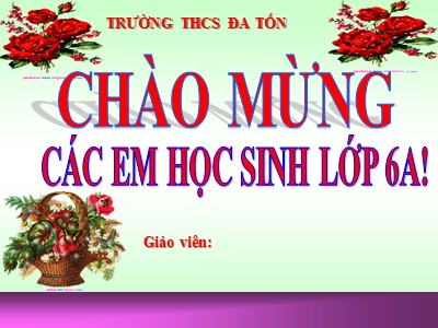 Bài giảng môn Số học Lớp 6 - Tiết 68: Luyện tập - Trường THCS Đa Tốn