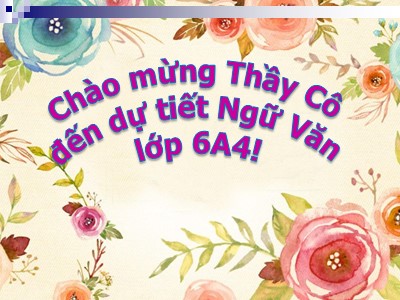 Bài giảng Ngữ văn Khối 6 - Bài 13: Chỉ từ