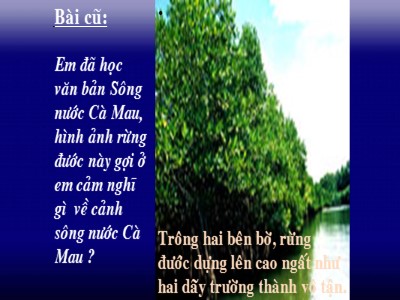 Bài giảng Ngữ văn Lớp 6 - Bài 19: So sánh