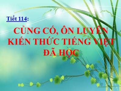 Bài giảng Ngữ văn Lớp 6 - Tiết 114: Củng cố, ôn luyện kiến thức tiếng Việt đã học