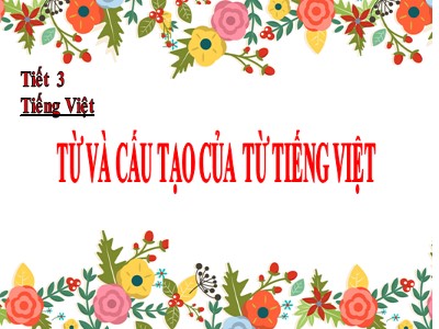 Bài giảng Ngữ văn Lớp 6 - Tiết 3: Từ và cấu tạo của từ tiếng Việt