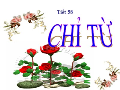 Bài giảng Ngữ văn Lớp 6 - Tiết 58: Chỉ từ