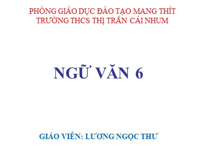 Bài giảng Ngữ văn Lớp 6 - Tuần 20: Văn bản Buổi học cuối cùng - Tập làm văn: Quan sát, tưởng tượng, so sánh, nhận xét trong văn miêu tả - Lương Ngọc Thư